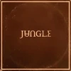 Jungle - Sunshine (vinilinė plokštelė, LP)