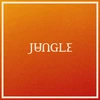 Jungle - Volcano (vinilinė plokštelė, LP)