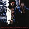 Lenny Kravitz - Are You Gonna Go My Way (vinilinė plokštelė, LP)