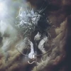 Linkin Park - The Hunting Party 1LP + 1LP (vinilinė plokštelė)