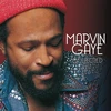 Marvin Gaye - Collected (vinilinė plokštelė, LP)
