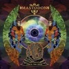 Mastodon - Crack The Skye (vinilinė plokštelė, LP)