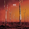 Muse - Origin Of Symmetry: XX Anniversary RemiXX (vinilinė plokštelė, LP)