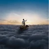 Pink Rožinė Floyd - The Endless River (vinilinė plokštelė, LP)