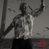 Rob Grant - Lost At Sea (vinilinė plokštelė, LP)