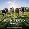 Rožinė Floyd - Atomized (John Peel's Sunday Concert : BBC Paris Theatre London, 19th July 1970) (vinilinė plokštelė, LP)