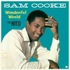 Sam Cooke - Wonderful World (The Hits) (vinilinė plokštelė, LP)