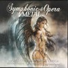 Various - Symphonic &amp; Opera Metal (vinilinė plokštelė, LP)