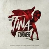 Various - The Many Faces Of Tina Turner (vinilinė plokštelė, LP)