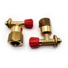 LPG/GPL Autogas adapterių rinkinys M22 (21,8 mm) ACME + DISH + Euronozzle kelionėms po Europą