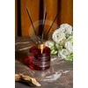 Drėkintuvas Sorvella Perfume Raudona Baccarat, 120 ml
