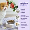 Cattu Augintinio dubenėlis su laikikliu, skaidrus / pilkas