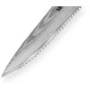 Samura DAMASCUS pomidorų peilis 120 mm – profesionalus, damasko plieno, ergonomiška rankena, itin aštrus