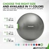 Tunturi Gymball 65cm, sidabrinis