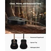 VEVOR Drednoto akustinė gitara 104 cm rinkinys