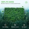 Vevor Dirbtinės buxus plokštės 12vnt 25cm x 25cm