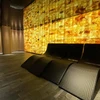 Himalajų druskos plyta lygiu paviršiumi 300 × 200 × 38 mm