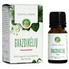 Mėta Gvazdikėlių eterinis aliejus, 10 ml