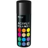 Akrilinė emalė BIODUR, juoda blizgi RAL9005, 400 ml