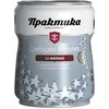 Alkidiniai dažai PRAKTIKA, sidabriniai, 0.65 l