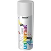 Universali aerozolinė emalė BIODUR, sidabrinė RAL9006, 400 ml