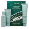 Aveda Scalp Solutions Hair Care Gift Set plaukų priežiūra Moterims