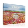Chloe Eau De Parfum 75ml kvepalai