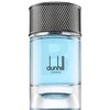 Dunhill Alfred Signature Collection Nordic Fougere Eau De Parfum 100ml kvepalai