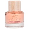 Hollister Canyon Escape Eau De Parfum 30ml kvepalai