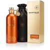 Montale Aoud Melody Eau De Parfum 100ml kvepalai