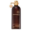 Montale Aoud Musk Eau De Parfum 100ml kvepalai