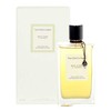 Van Cleef & Arpels Collection Extraordinaire Bois d´Iris Eau De Parfum 75ml kvepalai