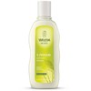 Weleda Millet Plaukų šampūnas Normal hair dermatologinis maitinantis šampūnas