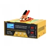 Automobilio akumuliatoriaus įkroviklis PowerPulse 12V/24V