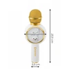 Izoxis 27047 Wireless Karaoke Microphone Baltas