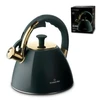 Indukcinis virdulys Starke Pro, 2,5L