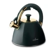 Indukcinis virdulys Starke Pro, 2,5L