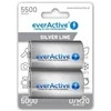 EverActive R20/D Ni-MH 5500 mAh talpos 2vnt. akumuliatoriai.