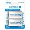 EverActive R20/D Ni-MH 9000 mAh talpos 2vnt. akumuliatoriai.