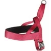 Flamingo petnešos Abbi Cherry Raudona XL