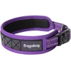 Freedog Import Sl Freedog Boreal alyvinės spalvos antkaklis šuniui 15 mm x 30–42 cm