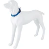 Freedog Import Sl Freedog Extreme mėlynas nailoninis antkaklis šuniui 15 mm x 25–36 cm