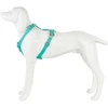 Freedog Import Sl Freedog Saferide turkio spalvos saugos petnešos šuniui M 25 mm x 43/58 cm