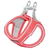 Freedog Import Sl Freedog Shiva raudonos petnešos šuniui S 35–40 cm