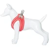 Freedog Import Sl Freedog Shiva raudonos petnešos šuniui S 35–40 cm