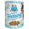 BRIT CARE Cat Superfruits Salmon skanėstai 100g