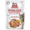 Vafo Praha Sro Brit Care Sterilized Fillets in Gravy antiena konservai katėms su antiena, 85 g
