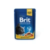Brit Premium lašiša&upėtakis 100 g