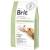 Brit GF Veterinary Diets sausas Maistas šunims Diabetes 2kg