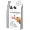 Brit GF Veterinary Diets sausas Maistas šunims Joint&Mobility 2kg